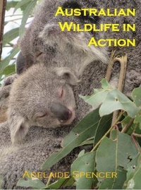  Adelaide Spencer - Australian Wildlife in Action.