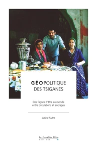 Géopolitique des tsiganes