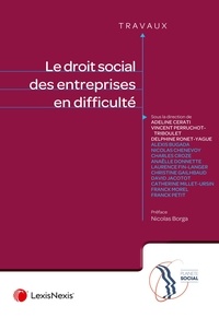 Adeline Cerati-Gauthier et Vincent Perruchot-Triboulet - Droit social des entreprises en difficulté.