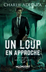  Un loup en approche 