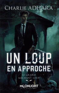 Un loup en approche