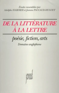 De La Litterature A La Lettre. Poesie, Fiction, Arts, (Domaine Anglophone)