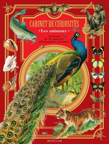 Adolphe Millot - Cabinet de curiosités Animaux - Livre portfolio. 25 planches originales.