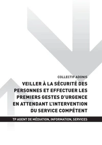 TP AGENT MÉDIATION INFORMATION SERVICE - AT2 Veiller à la sécurité des personnes et effectuer les premiers gestes d'urgence en attendant l'intervention du service compétent