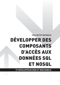 TP DEV WEB ET WEB MOBILE - AT2 - Développer des composants d'accès aux données SQL et NoSQL