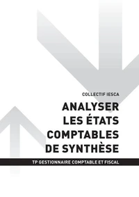 TP GESTIONNAIRE COMPTABLE ET FISCAL - AT3 - Analyser les états comptables de synthèse