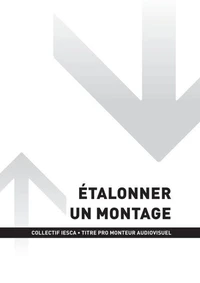 TP MONTEUR AUDIOVISUEL - AT2 - Étalonner un montage