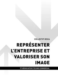 TP NÉGOCIATEUR TECHNICO COMMERCIAL - AT2 Representer l'entreprise et valoriser son image