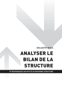 TP RESPONSABLE DE PETITE OU MOYENNE STRUCTURE - AT3 Analyser le bilan de la structure