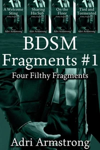 BDSM Fragments #1