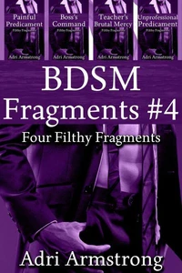 BDSM Fragments #4