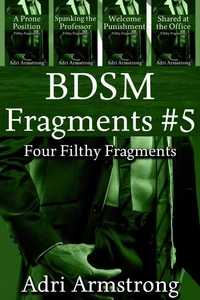 BDSM Fragments #5