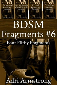 BDSM Fragments #6