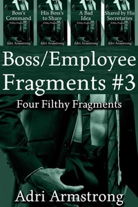 Boss/Employee Fragments #3