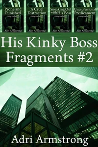 His Kinky Boss Fragments #2