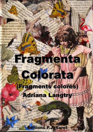 Fragmenta colorata. Fragments colorés