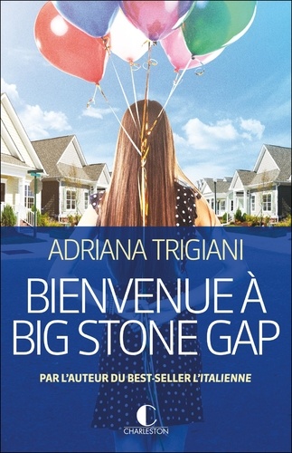 Bienvenue à Big Stone Gap