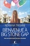 Adriana Trigiani - Bienvenue à Big Stone Gap.