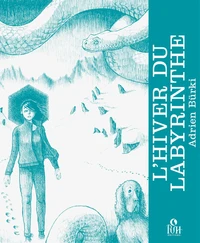 L'Hiver du labyrinthe