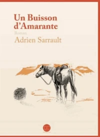 Un buisson d'amarante