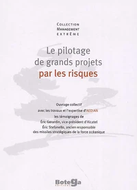 Le pilotage de grands projets par les risques