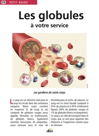 Les globules à votre service