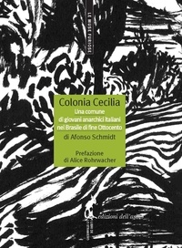 Afonso Schmidt - Colonia Cecilia. Una comune di giovani anarchici italiani nel Brasile di fine Ottocento.