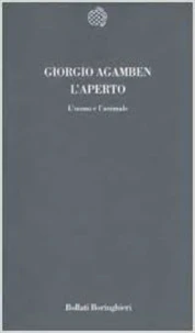 Aperto