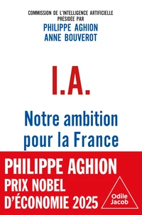 I.A. : notre ambition pour la France