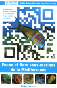 Faune et flore sous-marines de la Méditerranée