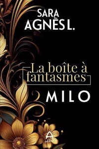 La boite à fantasmes