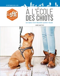 A l'école des chiots