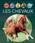 Agnès Vandewiele - Les chevaux.