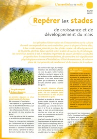 AGPM-technique - Repérer les stades de croissance et de développement du maïs.