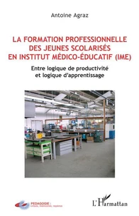 La formation professionnelle des jeunes scolarisés en institut médico-éducatif (IME)