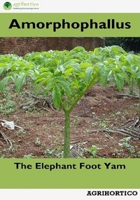  Agrihortico - Amorphophallus: The Elephant Foot Yam.