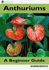  Agrihortico - Anthuriums: A Beginner Guide.