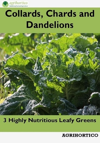  Agrihortico - Collards, Chards and Dandelions: 3 Highly Nutritious Leafy Greens.