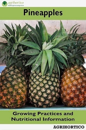  Agrihortico CPL - Pineapples: Growing Practices and Nutritional Information.