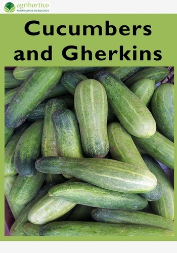  Agrihortico - Cucumbers and Gherkins.