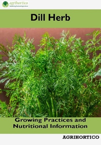  Agrihortico - Dill Herb: Growing Practices and Nutritional Information.