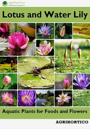  Agrihortico - Lotus and Water Lily: Aquatic Plants for Foods and Flowers.