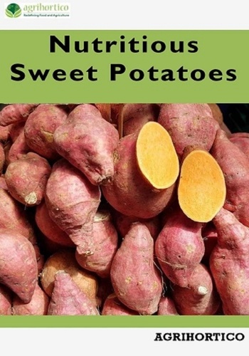  Agrihortico - Nutritious Sweet Potatoes.