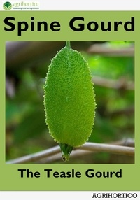  Agrihortico - Spine Gourd: The Teasle Gourd.