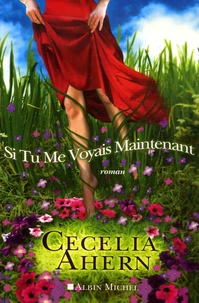 Si tu me voyais maintenant