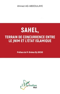 Sahel, terrain de concurrence entre le JNIM et l'Etat Islamique
