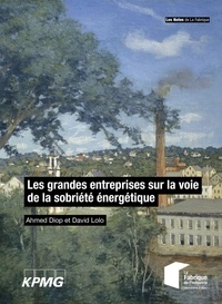 Ahmed Diop et David Lolo - Les grandes entreprises sur la voie de la sobriété énergétique.