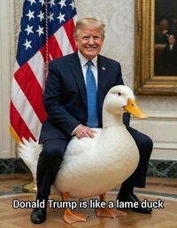 Donald Trump is like a lame duck