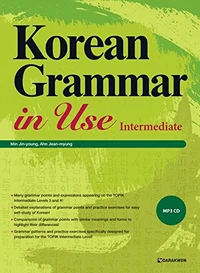 Korean grammar in use : intermediate