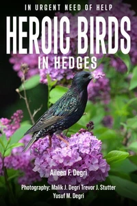 Heroic Birds in Hedges